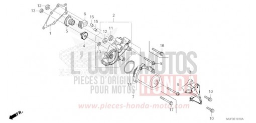 DEMULTIPLICATEUR NT1100DR de 2024